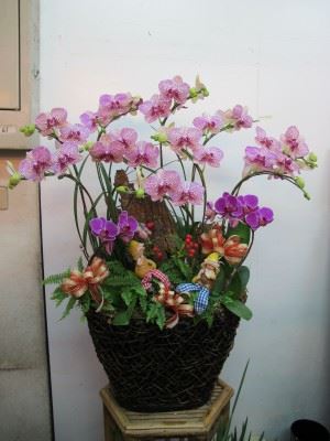 蘭花
