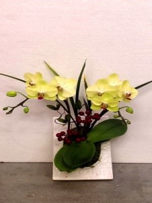 蘭花