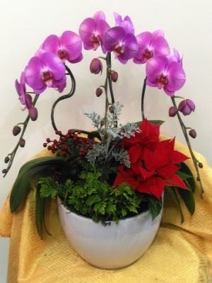 蘭花