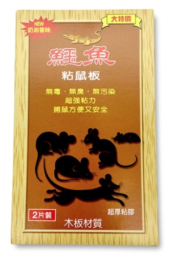 鱷魚 粘鼠板 小