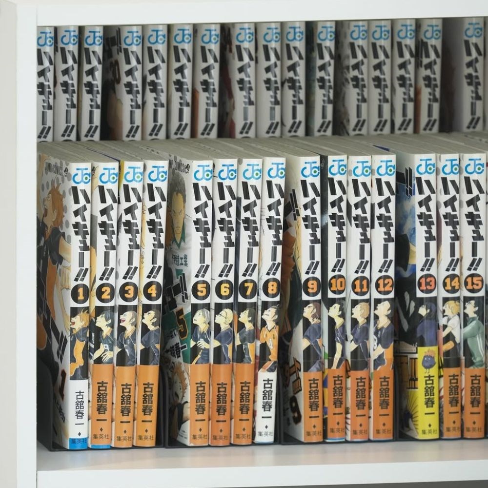 【SANADA】 日本製 二段式雜誌架-黑