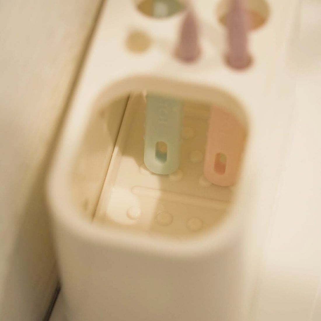 日本製 牙刷置物架