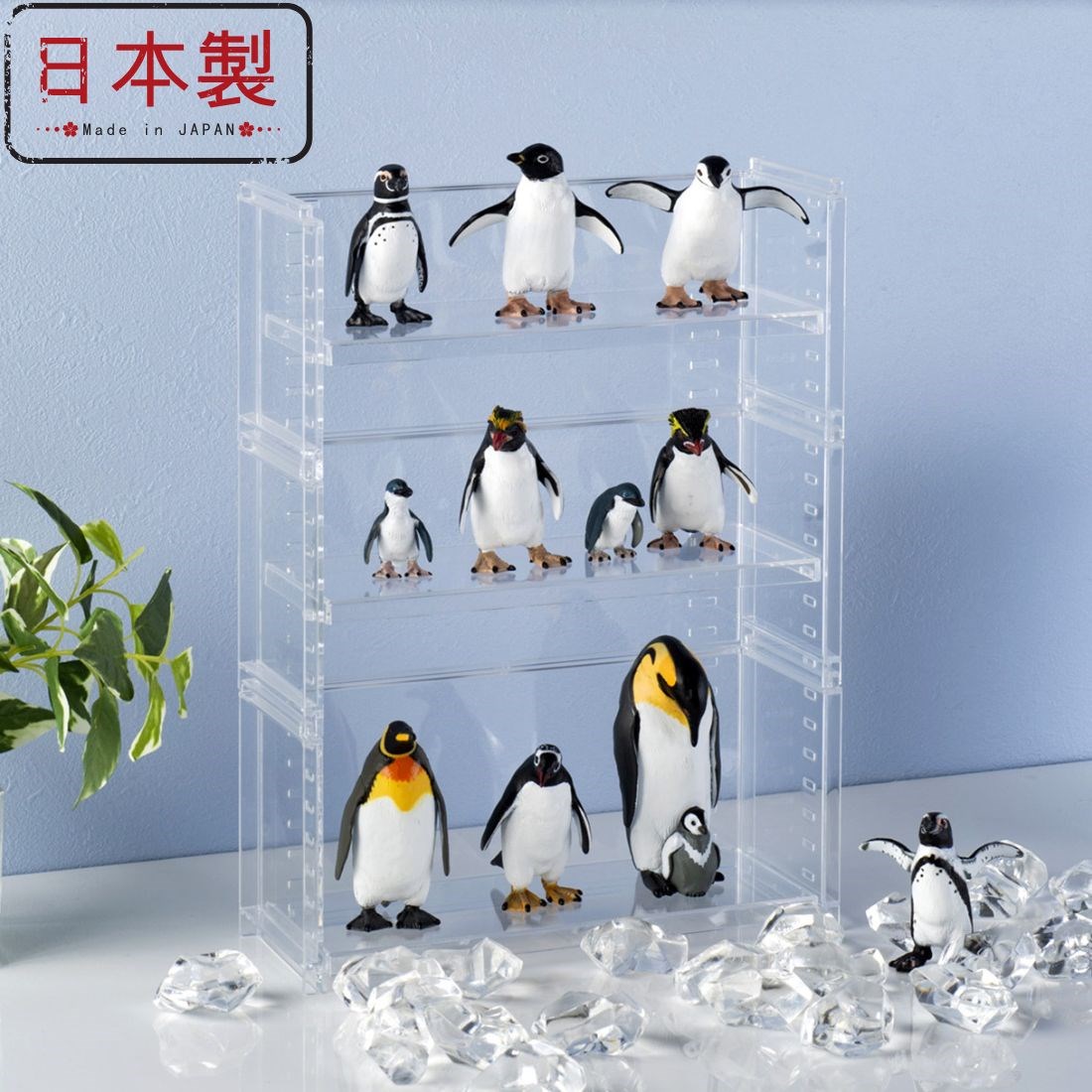 日本製 可調層板透明展示架