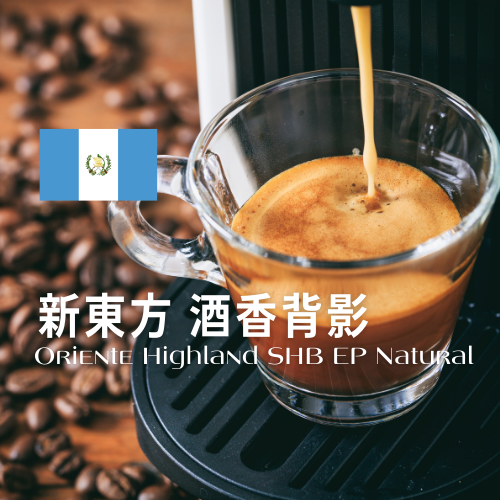 新東方 酒香背影-莊園豆(227g)