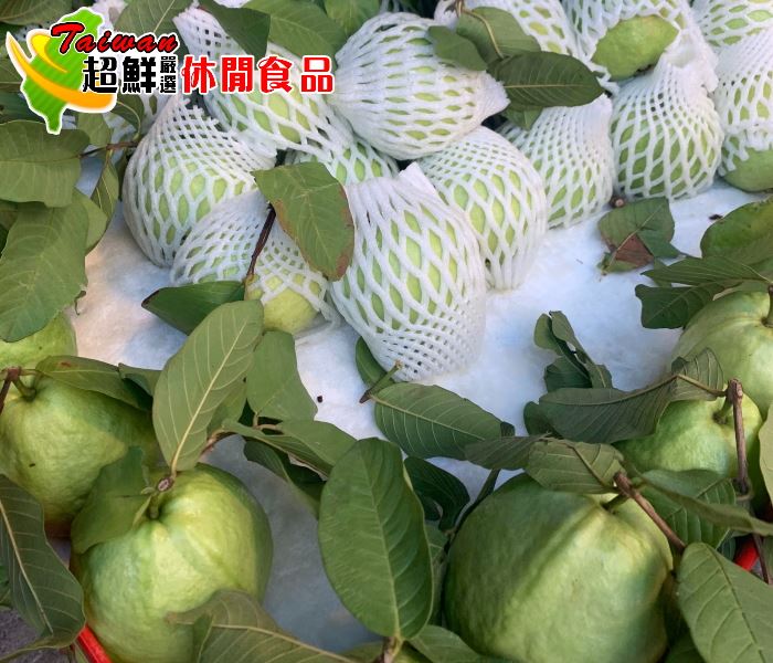 現採員林芭樂