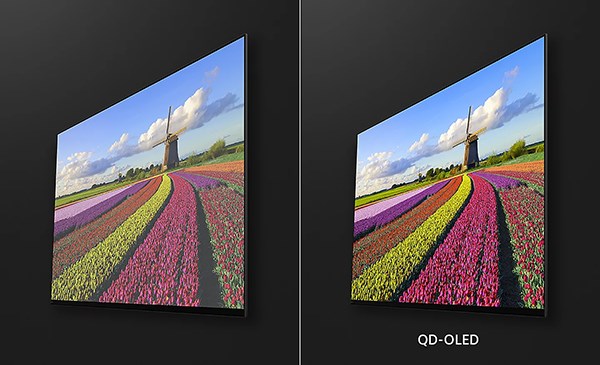 SONY  XRM-55A95L  日本製  OLED