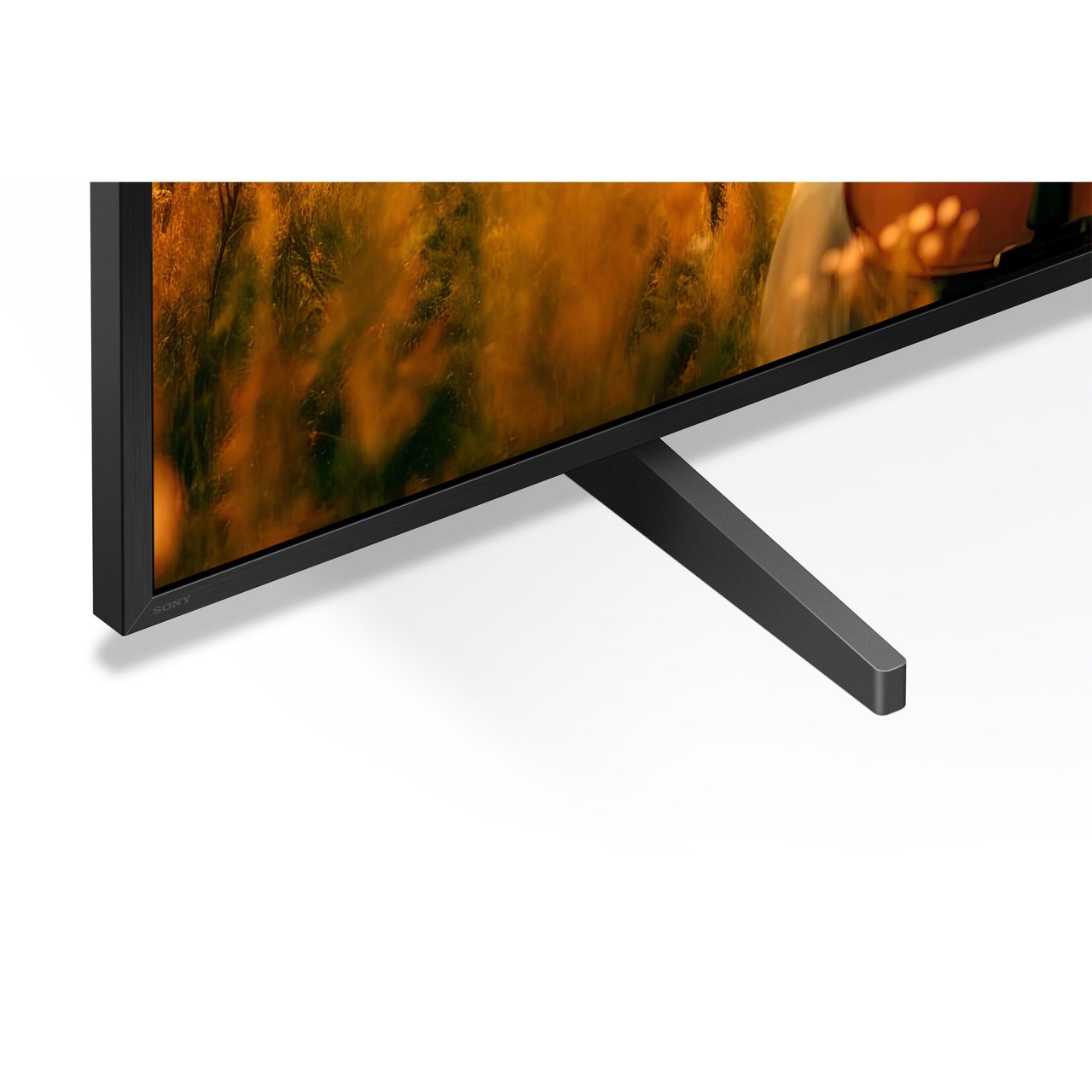 BRAVIA 5 98"  new 2025 6月新機 公司現貨可看