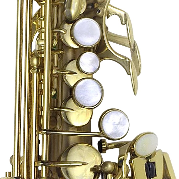 Le Bravo 200