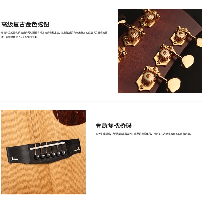 最新款 CORT Gold OC6 電木吉他-內建Fishman FLEX BLEND系統/原廠公司貨