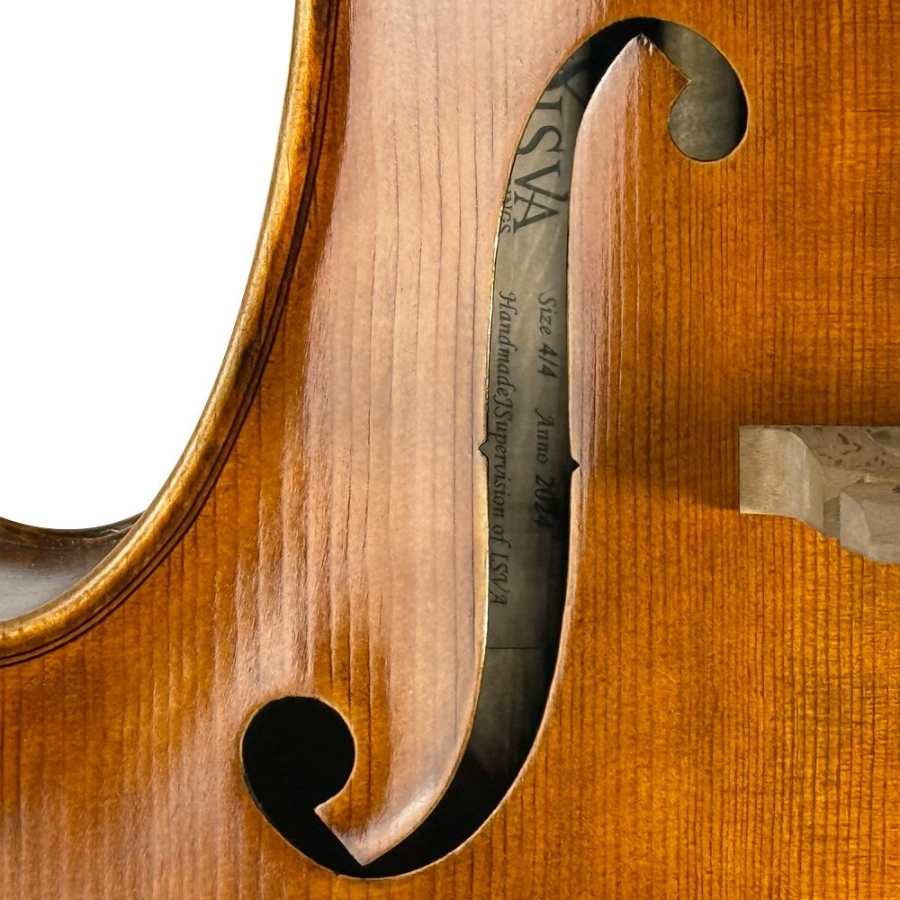 WILLIS TAYLOR