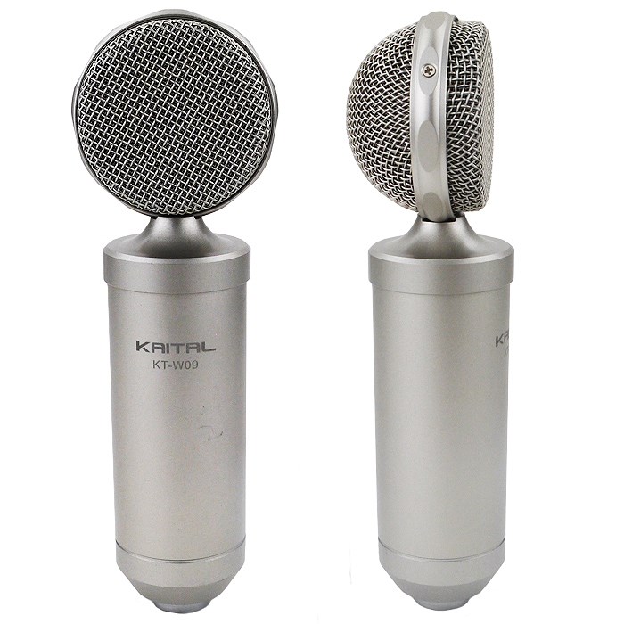 中古器材出清-KAITAL KT-W09 指向性麥克風-功能正常限自取