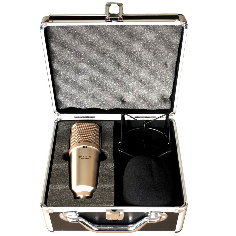 中古器材出清-WEALTH DB-8000 大膜片多指向性錄音麥克風-需自取