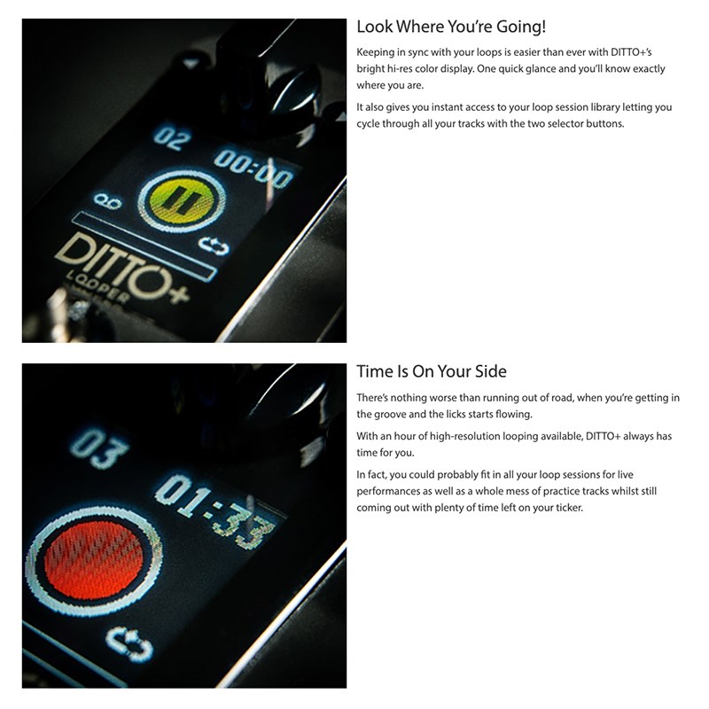 TC electronic DITTO+ LOOPER 新一代單軌Loop效果器-原廠公司貨