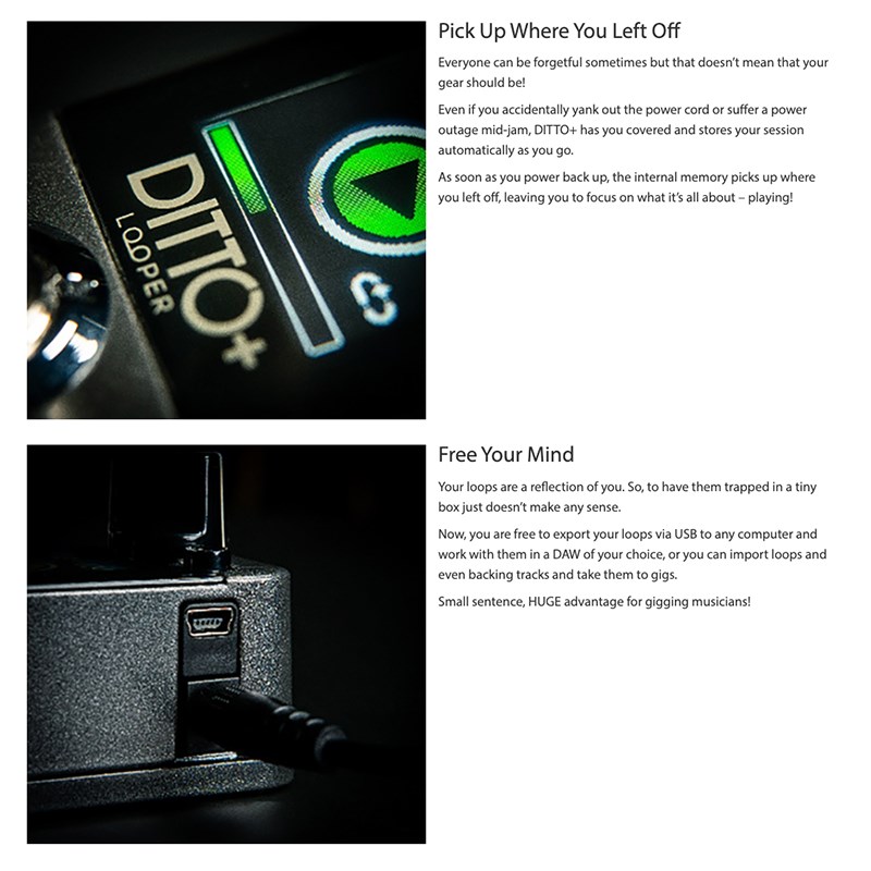 TC electronic DITTO+ LOOPER 新一代單軌Loop效果器-原廠公司貨