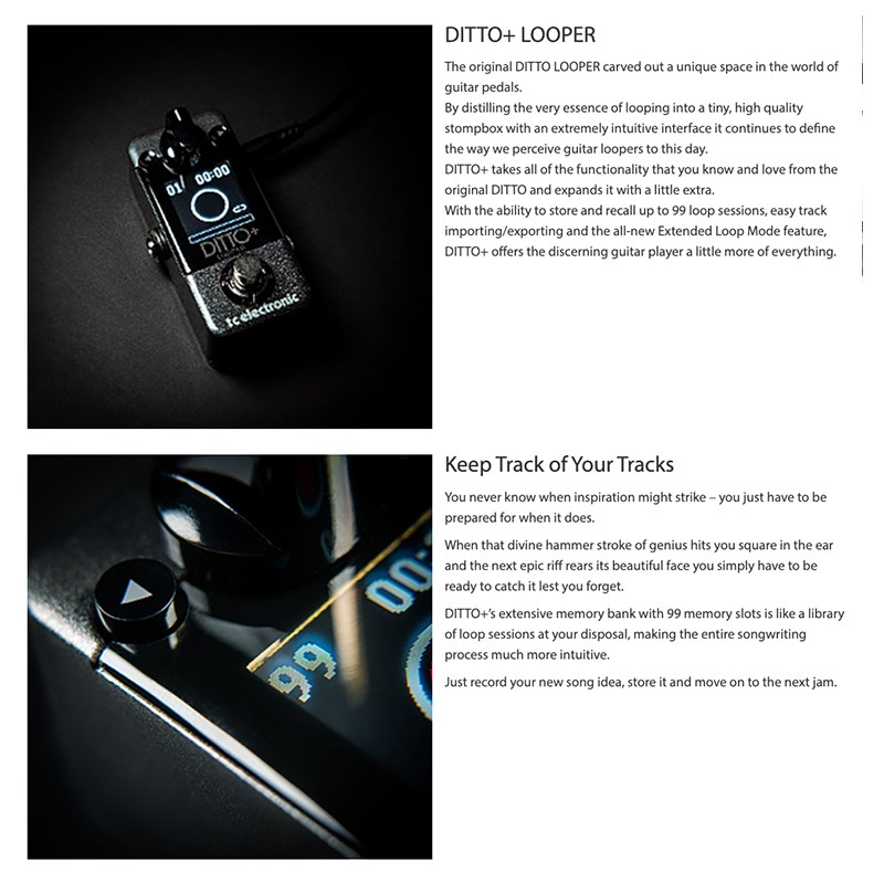 TC electronic DITTO+ LOOPER 新一代單軌Loop效果器-原廠公司貨
