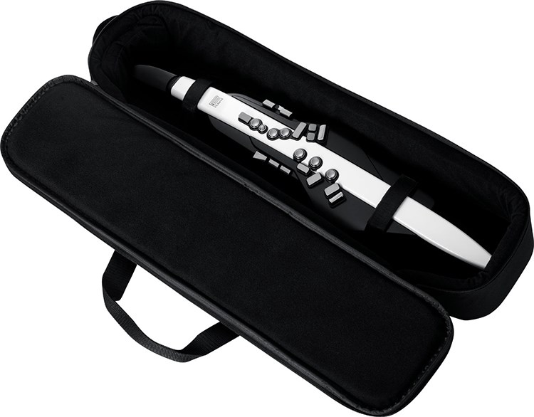 Roland Aerophone AE-20 數位電子吹管/薩克斯風/流線型設計/原廠公司貨
