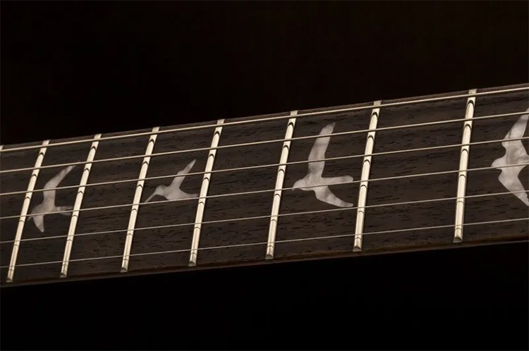 PRS SE Custom 22 電吉他-經典鑲鳥指板/兩色任選/原廠公司貨