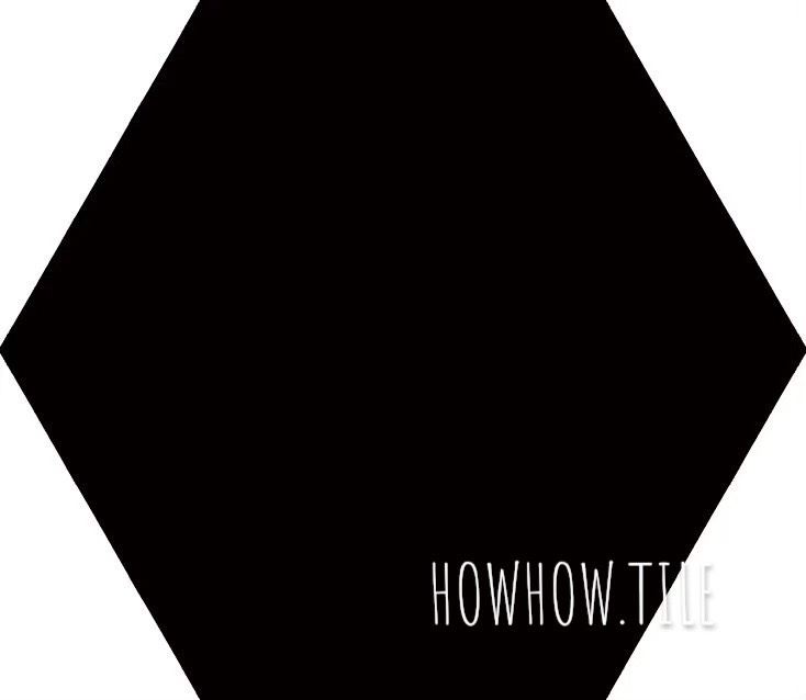 西班牙進口 黑白畫映六角磚（22.5*25.9cm)JU196