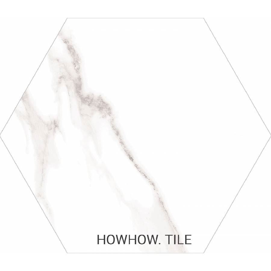 西班牙進口 雪山銀狐六角素花磚（22.5*25.9cm)*JY196.212