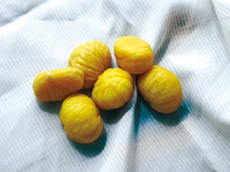  Frozen chestnuts
