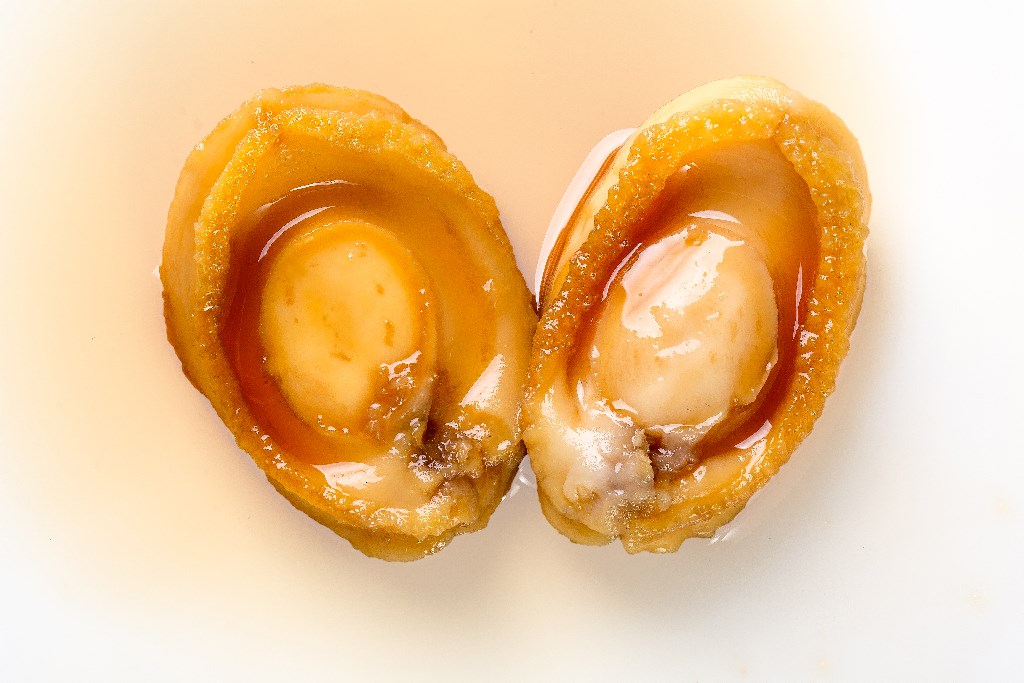 Abalone