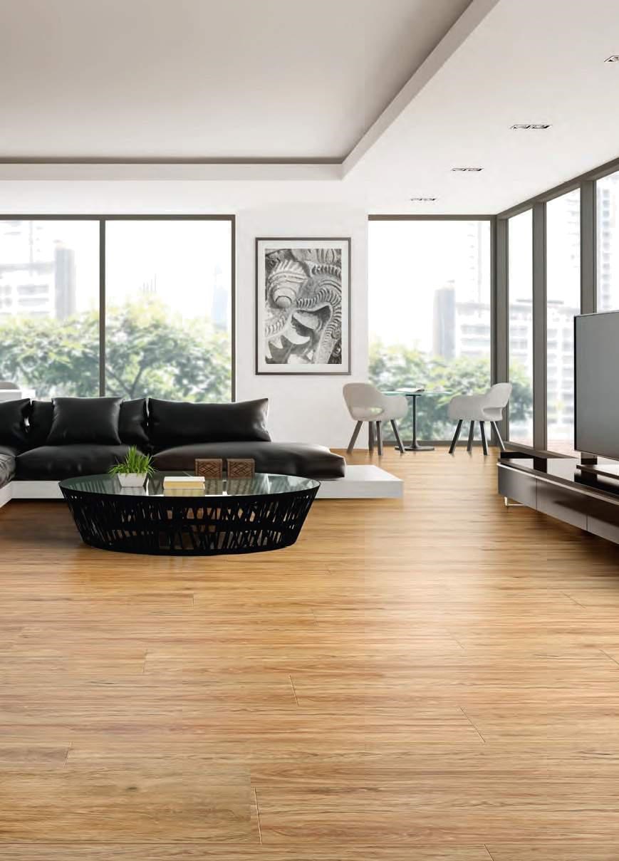 西班牙進口 KERATILE木紋磚（23.3*209cm)DC