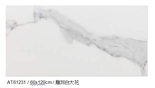 西班牙進口 ARGENTA（60*120cm)DC