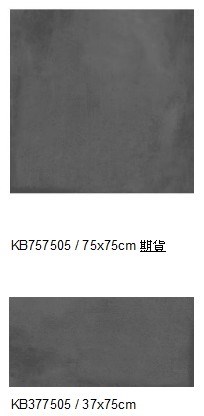 西班牙進口金屬磚（37*75/75*75cm)DC