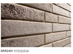 德國進口 索爾STROHER陶磚（5.2*24cm)DC