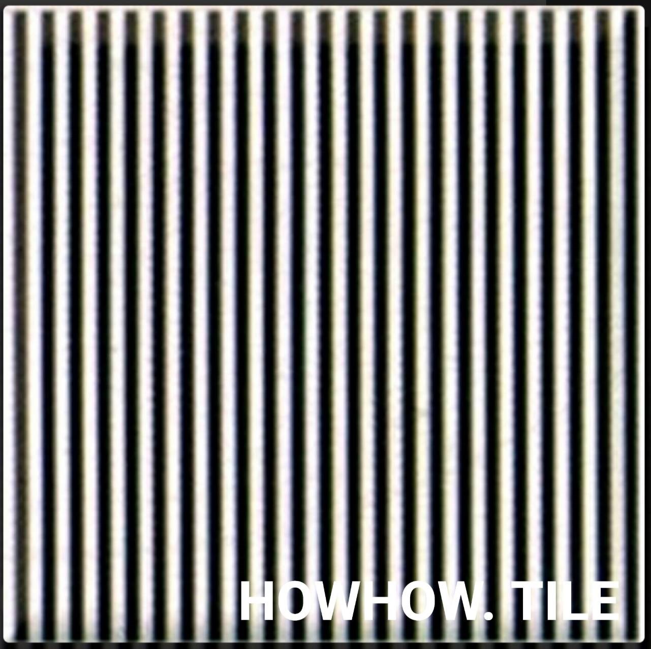 進口蒂瑪絲黑白花磚（20*20cm)DD108.124