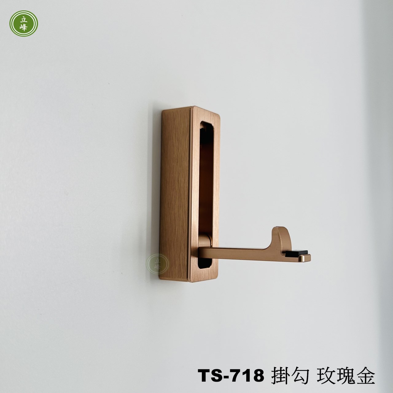 TS-718 隱藏式掛勾【霧銀、黑色、金色、玫瑰金】