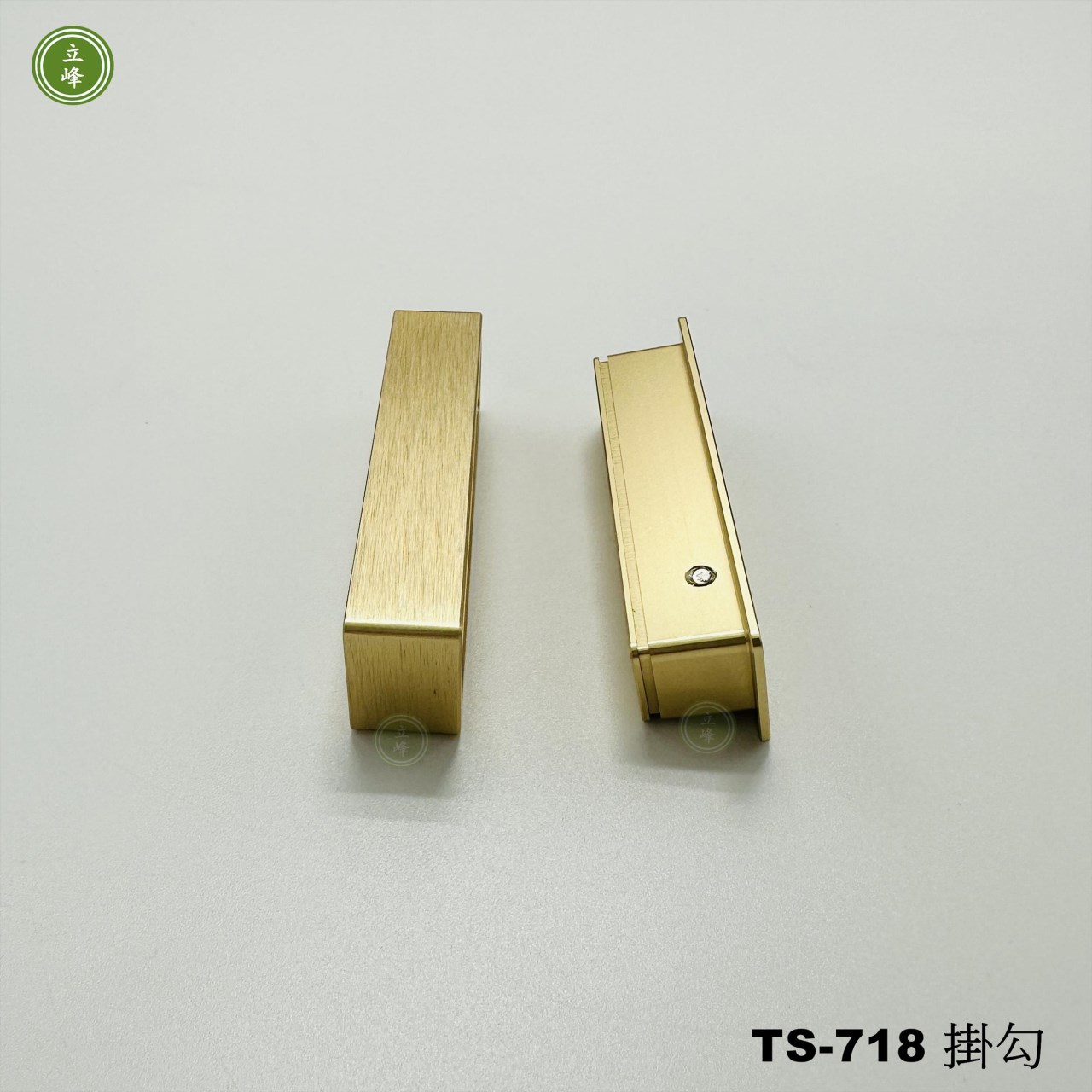 TS-718 隱藏式掛勾【霧銀、黑色、金色、玫瑰金】