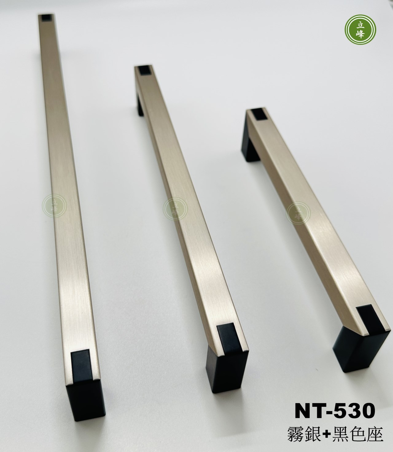 NT-530霧銀+黑色座