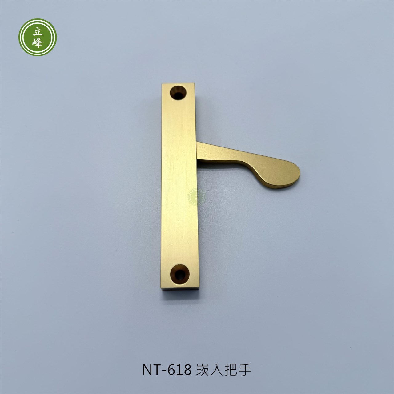 NT-618 崁入把手-金色
