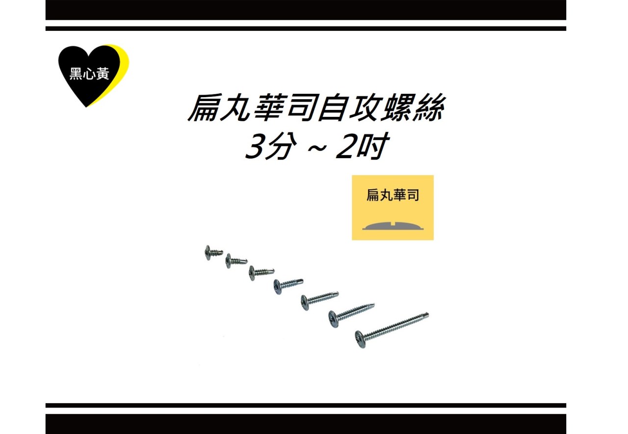 扁丸華司自攻螺絲\3分 ~ 2吋