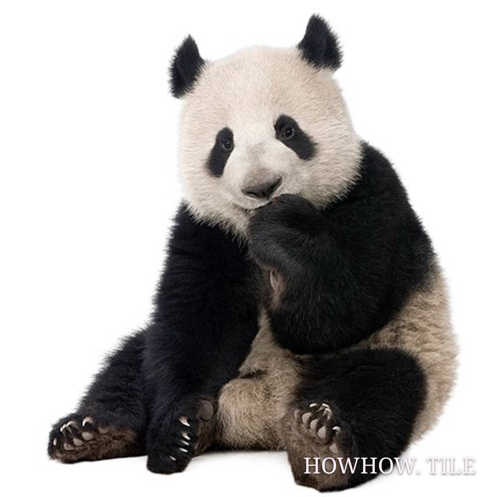 西班牙進口 動物園（20*20cm）*AD946