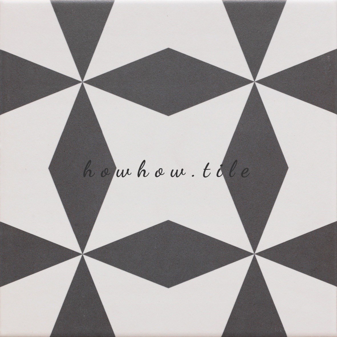 西班牙進口 迪蒙特花磚（20*20cm）*AD324