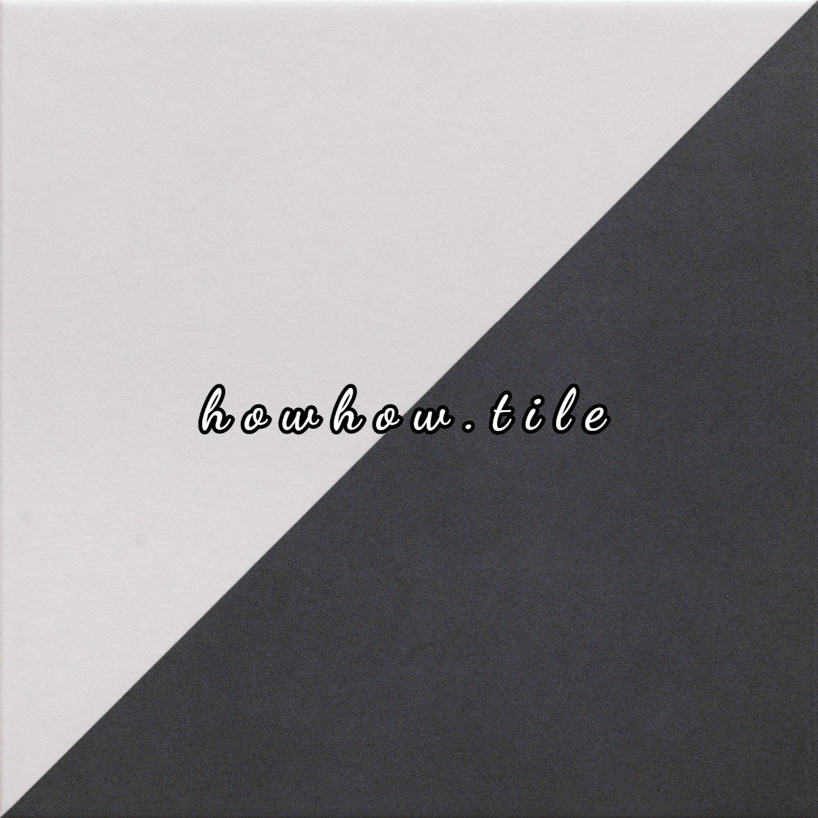 西班牙進口 迪蒙特花磚（20*20cm）*AD324