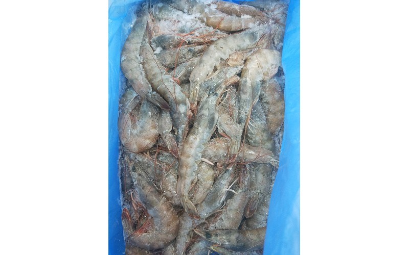 活凍白蝦70/80【6號】