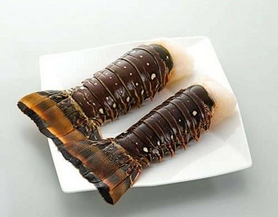 6盎司龍蝦尾