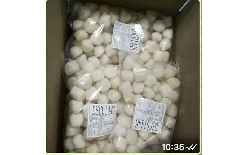 海灣貝柱