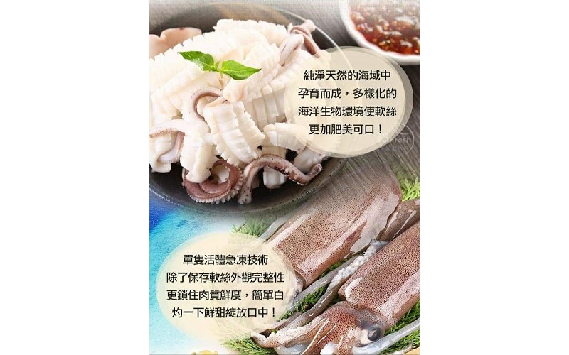 活凍軟絲