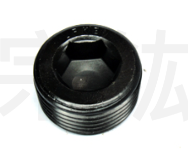 ITP 內六角塞頭 PT