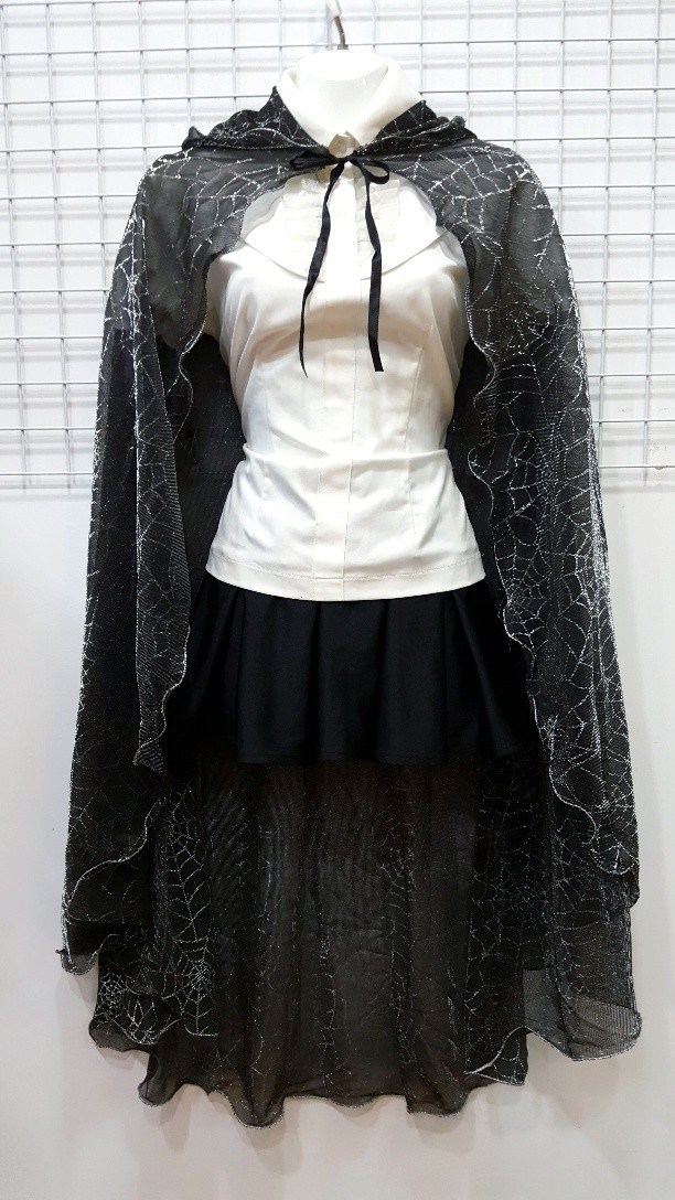 魔法師披風/銀蜘蛛