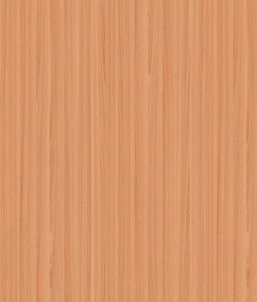 龍疆-0410 紅山毛櫸