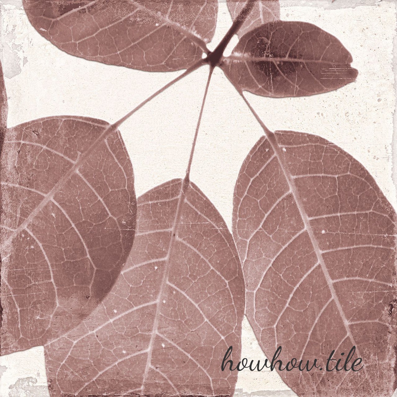 西班牙進口 叢林花磚-紅色 另有素磚可以搭配（25*25cm)GY392.452