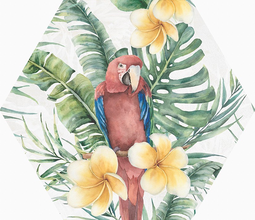 西班牙 綠昀六角磚  23*27cm RJ294