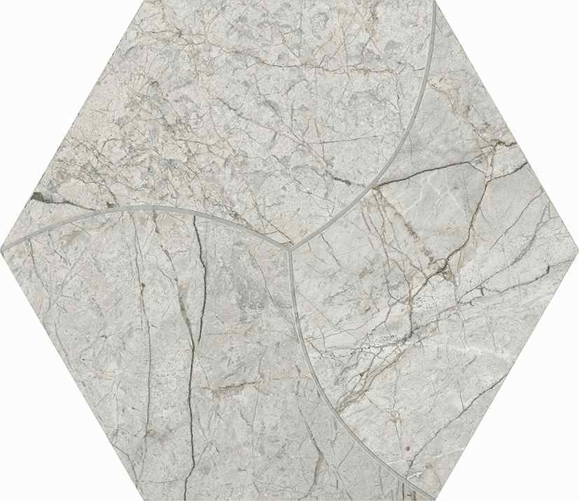 西班牙 文采六角磚23*27cm RJ294