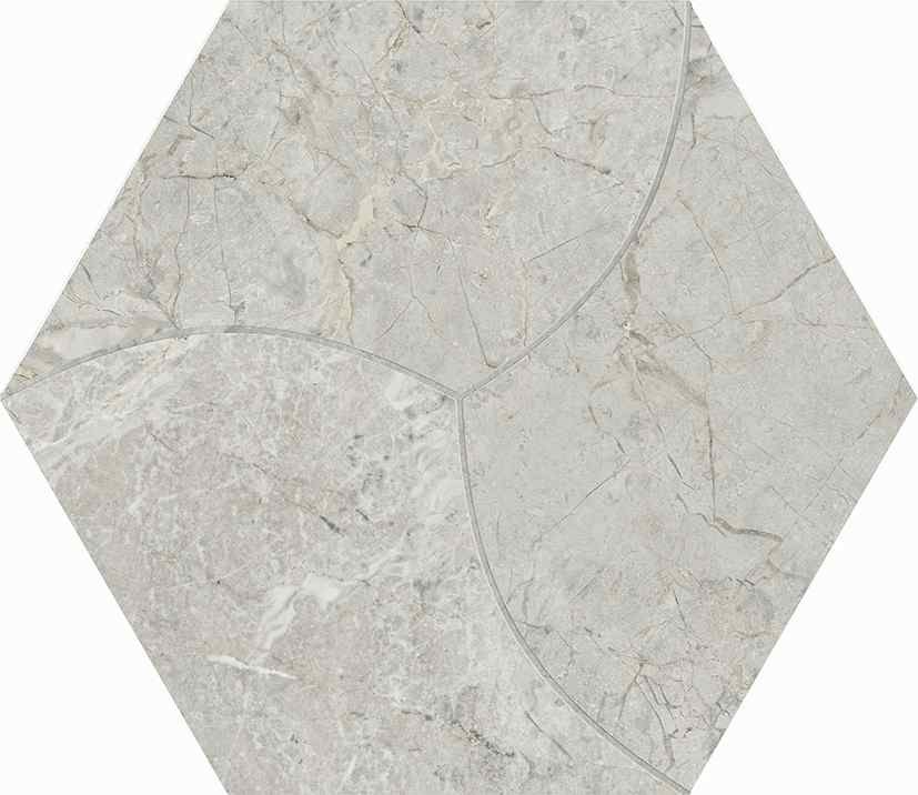 西班牙 文采六角磚23*27cm RJ294
