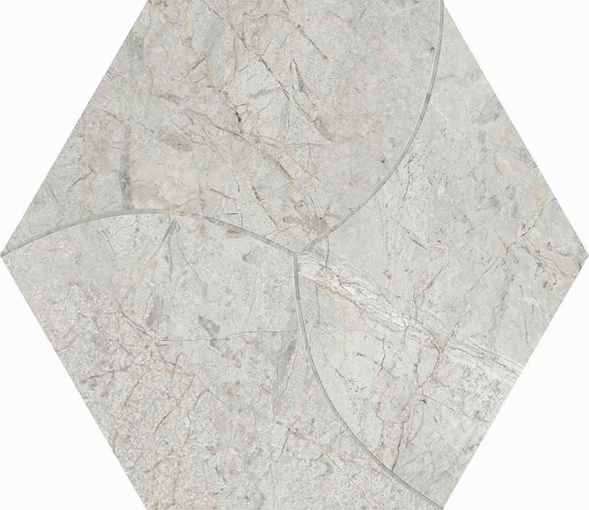 西班牙 文采六角磚23*27cm RJ294